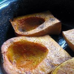 American Butternut Squash Grilled Dinner