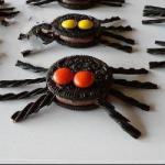 American Spiders to the Chocolate Breakfast