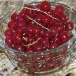 British Currants with Lime Appetizer
