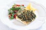 American Hazelnut Crusted Fish With Sugar Snap and Sprout Salad Recipe Dinner