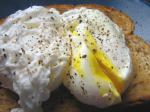 American Perfect Poached Eggs 2 Appetizer