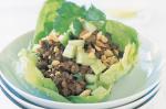 British Satay Beef Lettuce Parcels Recipe Dinner