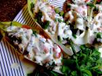 Belgian Cool Endive Boats Salad Appetizer