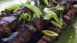 Japanese Beef Yakitori Recipe Appetizer
