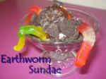 American Earthworm Sundae Dessert