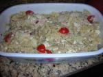 American Greekstyle Tuna and Bow Tie Pasta Salad Dinner