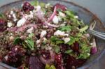 French Lentil Salad With Baby Beets  Feta Appetizer