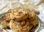 British Lacemakers Cattern Cakes  English Spiced Sugar Cookies Dessert