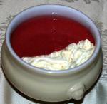 American Blended Raspberry Soup Appetizer