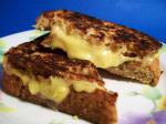 Romanian Grilled Cheese 6 Appetizer