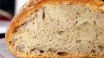 Dutch Noknead Artisan Style Bread Recipe Appetizer