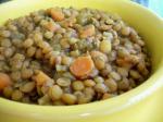 Dutch Curried Lentils and Vegetables 2 Appetizer