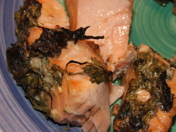 Canadian Quickfix Salmon With Lime  Coriander cilantro Appetizer