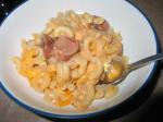 American Macaroni and Cheese Dog Casserole Dinner