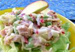 American Tasty Tuna Salad 1 Appetizer