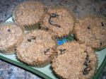 American Superlowfat Lower Carb Vegan Appleraisin Wheat Bran Muffins Dessert