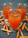 American Spiced Cranapple Cider Appetizer
