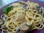 Italian Mushroom Linguine 1 Appetizer