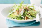 Indian Baked Salmon Endive And Cucumber Salad Recipe Appetizer
