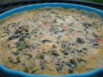 Mexican Hot Mexicanstyle Spinach Dip Appetizer