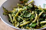 American Yotam Ottolenghis Pasta and Zucchini Salad Recipe Appetizer