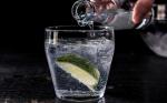 Spanish Gin and Tonic Recipe 1 Appetizer