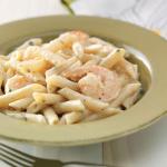 American Shrimp Penne with Garlic Sauce for Two Appetizer