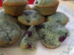 Belgian Blueberry Muffins 120 Dessert