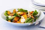 British Pumpkin Spinach and Hazelnut Salad Recipe Appetizer