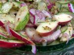 American Apple Pear Cucumber Salad Appetizer