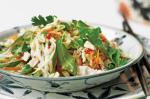 Canadian Goi Ga chicken And Cabbage Salad Recipe Appetizer