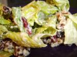 American Moonlight Family Restaurant Caesar Salad Dressing Appetizer