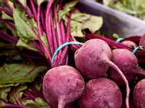 Indian Beet and Apple Salad BBQ Grill