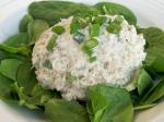 Best Tuna Salad Ever recipe