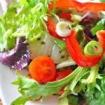 American Salads of Mixed Lettuce Appetizer