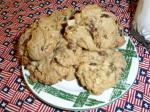 American Date Drop Cookies 3 Dessert