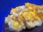 American Cauliflower Casserole 31 Appetizer