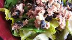 American Greekstyle Tuna Salad Recipe Dinner