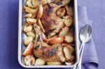 American Crispskinned Chicken With Roasted Apples And Potatoes Recipe Appetizer