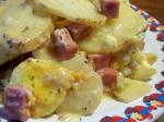 American Crock Pot Potatoes Au Gratin Dinner