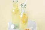 Canadian Fresh Lemonade Recipe 1 Appetizer