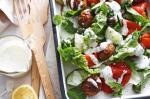 American Greek Lamb Meatball Salad Recipe Appetizer