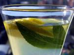 American Lemonade With Bacardi Limon for Adults Appetizer