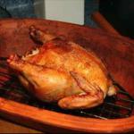 American Barbecued Cornish Hen BBQ Grill