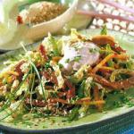 Chinese Asian Salad of Veal with Cream Spicy Appetizer