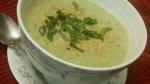 Canadian Vegan Broccoli Soup Recipe Appetizer