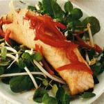American Moderately Warm Salad with Teriyaki Salmon Dinner