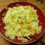 American Salad of Fennel in the Orange Appetizer