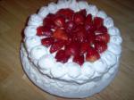 American Triple Chocolate Strawberry Shortcake Dessert