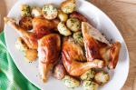 Orange And Thyme Roast Chicken Recipe recipe